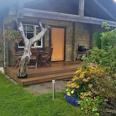 Arina Cottages Nasva エクステリア 写真