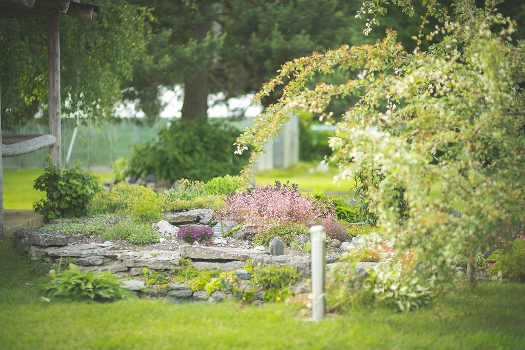 Arina Cottages Nasva 部屋 写真